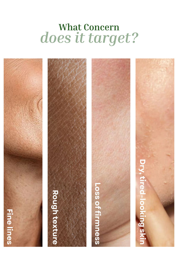 Skin Perfect Face Cream Multi-Peptide Day Cream | Supports Firmness & Elasticity | Smooths Fine Lines | Hydrates | Enhances Overall Appearance - 30g